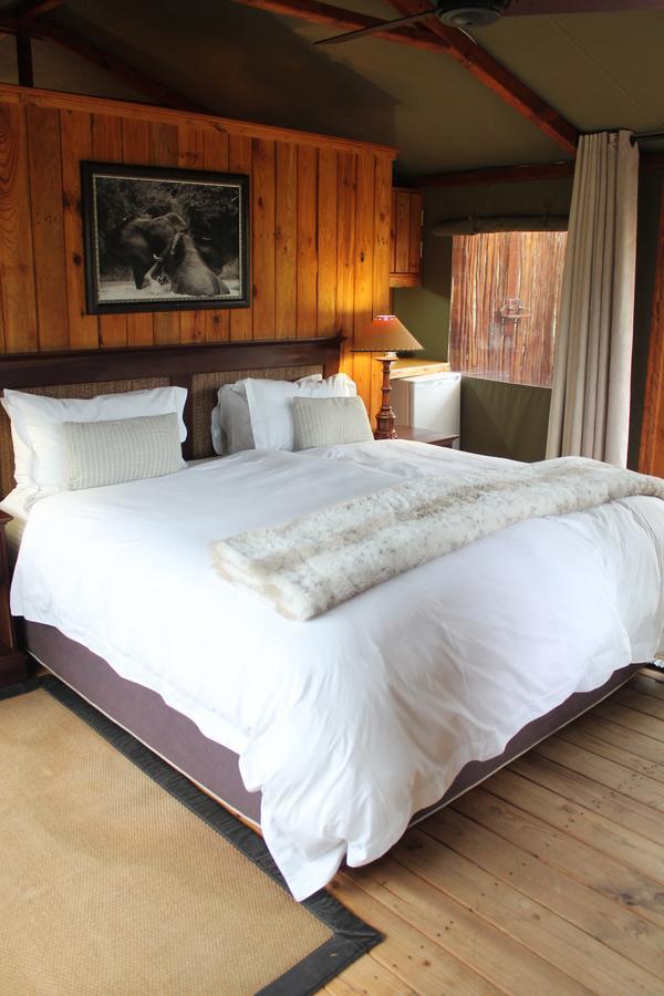 Addo Elephant Lodge & Safaris Kirkwood Room photo
