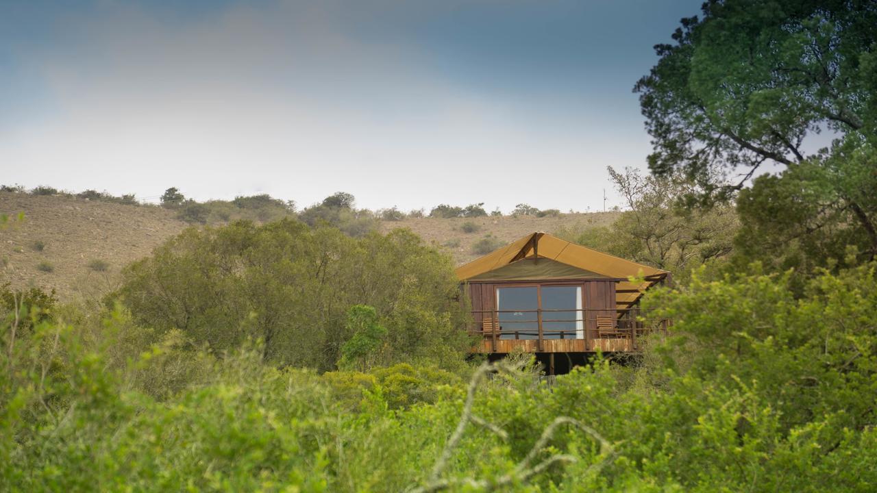Addo Elephant Lodge & Safaris Kirkwood Exterior photo