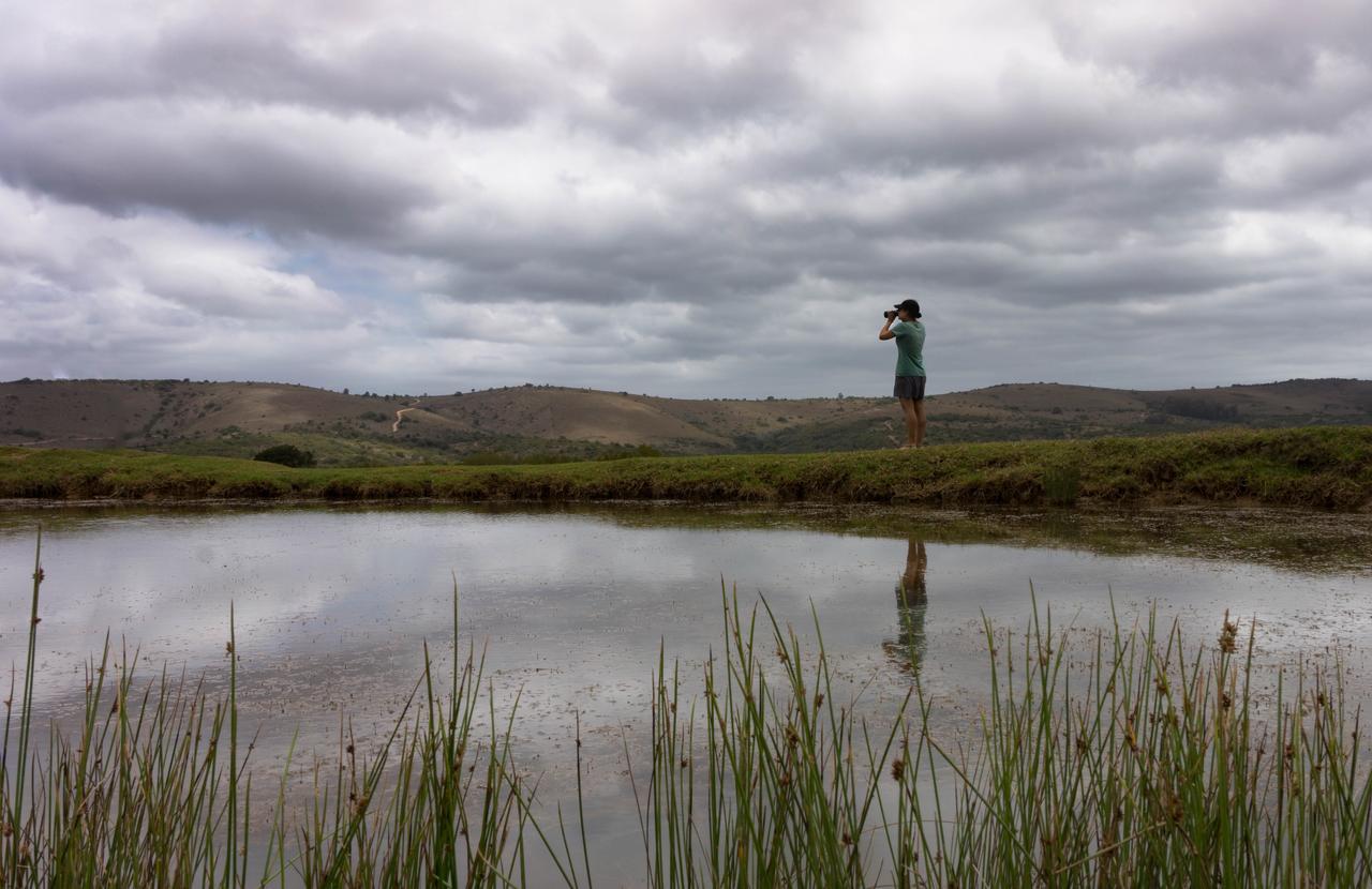 Addo Elephant Lodge & Safaris Kirkwood Exterior photo