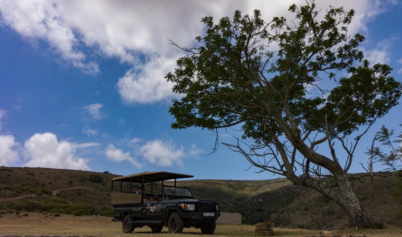 Addo Elephant Lodge & Safaris Kirkwood Exterior photo
