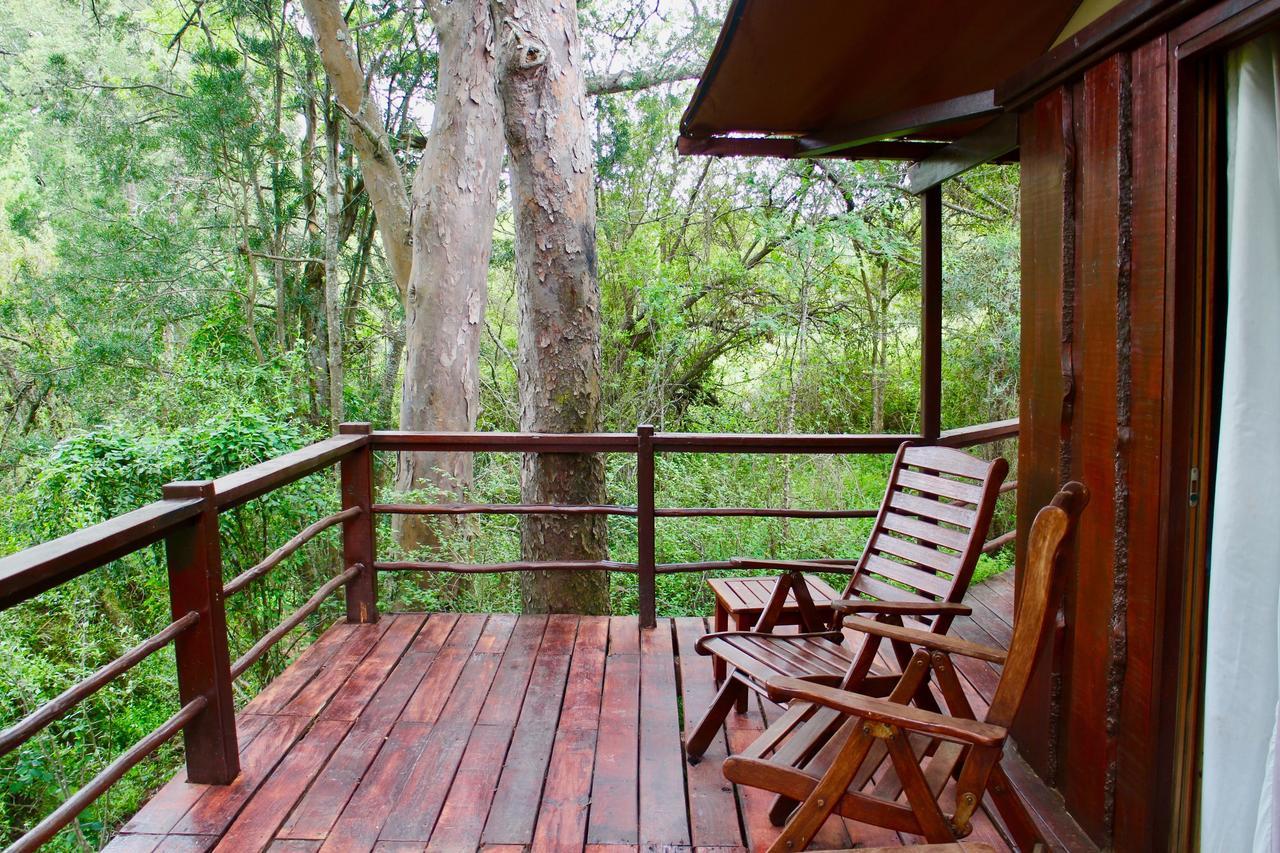 Addo Elephant Lodge & Safaris Kirkwood Exterior photo