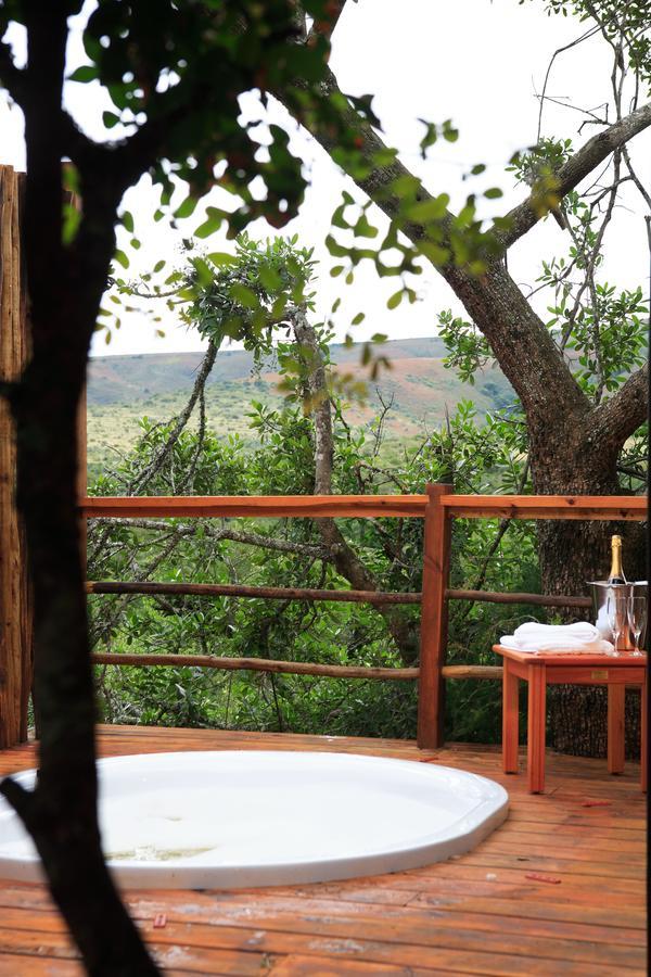 Addo Elephant Lodge & Safaris Kirkwood Exterior photo